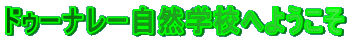 �h�D�[�i���[���R�w�Z�ւ悤���� 