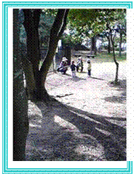 �e�L�X�g �{�b�N�X:  