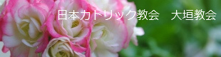 ���{�J�g���b�N����@��_����HP